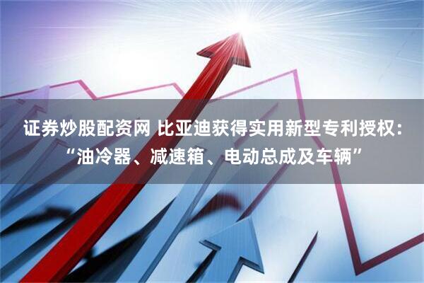 证券炒股配资网 比亚迪获得实用新型专利授权：“油冷器、减速箱、电动总成及车辆”