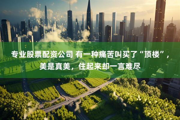 专业股票配资公司 有一种痛苦叫买了“顶楼”，美是真美，住起来却一言难尽